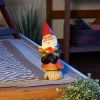 Accent Plus Reading Gnome Solar Statue