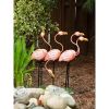 Accent Plus Flamingo Flock Lawn Ornament