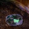 Accent Plus Glow-in-the-Dark Butterfly Stepping Stone