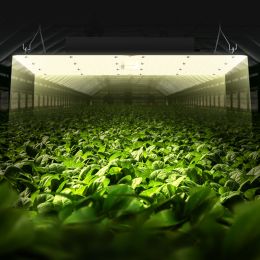 VEVOR 400W LED Grow Light; High Yield Samsung 281B Diodes Growing Lamp for Indoor Plants Seedling Veg and Bloom Greenhouse Growing; Full Spectrum Dimm