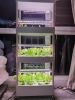 4 Layers 56 Holes Vertical Hydroponics Growing System with LED Light