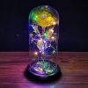 2023 LED Enchanted Galaxy Rose Eternal Rose Forever Rose In Glass Valentines Day Gift for Girlfriend Christmas Wedding Birthday