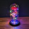 2023 LED Enchanted Galaxy Rose Eternal Rose Forever Rose In Glass Valentines Day Gift for Girlfriend Christmas Wedding Birthday