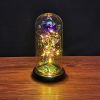 2023 LED Enchanted Galaxy Rose Eternal Rose Forever Rose In Glass Valentines Day Gift for Girlfriend Christmas Wedding Birthday