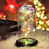 2023 LED Enchanted Galaxy Rose Eternal Rose Forever Rose In Glass Valentines Day Gift for Girlfriend Christmas Wedding Birthday