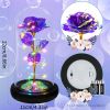 2023 LED Enchanted Galaxy Rose Eternal Rose Forever Rose In Glass Valentines Day Gift for Girlfriend Christmas Wedding Birthday